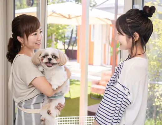 自宅で犬を抱っこする女性と話す女性医師