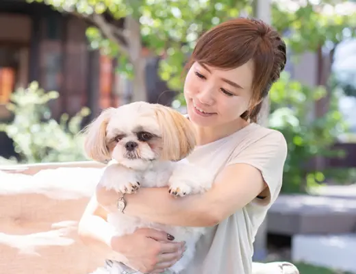 ホテルで女性医師に抱っこされる犬